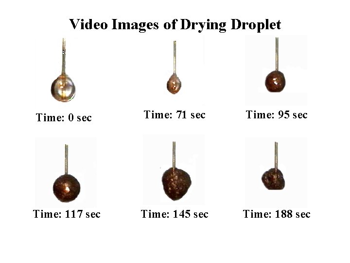 Video Images of Drying Droplet Time: 0 sec Time: 71 sec Time: 95 sec