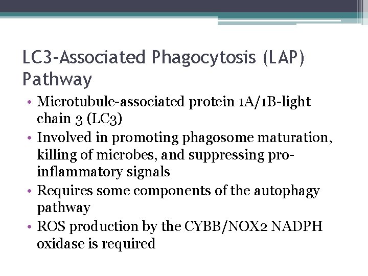 LC 3 -Associated Phagocytosis (LAP) Pathway • Microtubule-associated protein 1 A/1 B-light chain 3