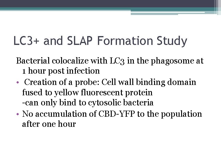 LC 3+ and SLAP Formation Study Bacterial colocalize with LC 3 in the phagosome