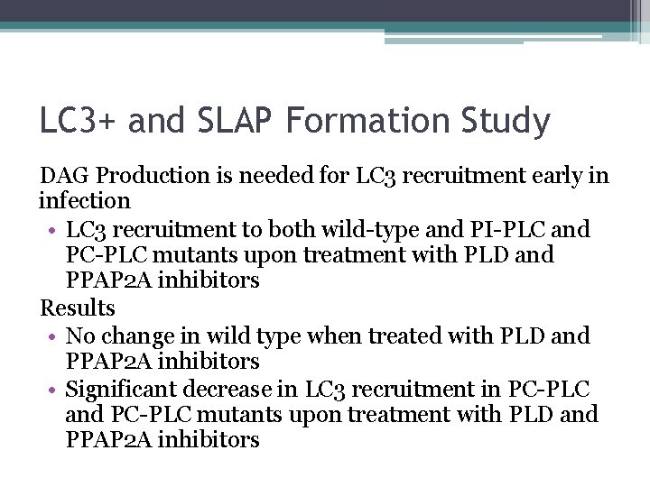 LC 3+ and SLAP Formation Study DAG Production is needed for LC 3 recruitment