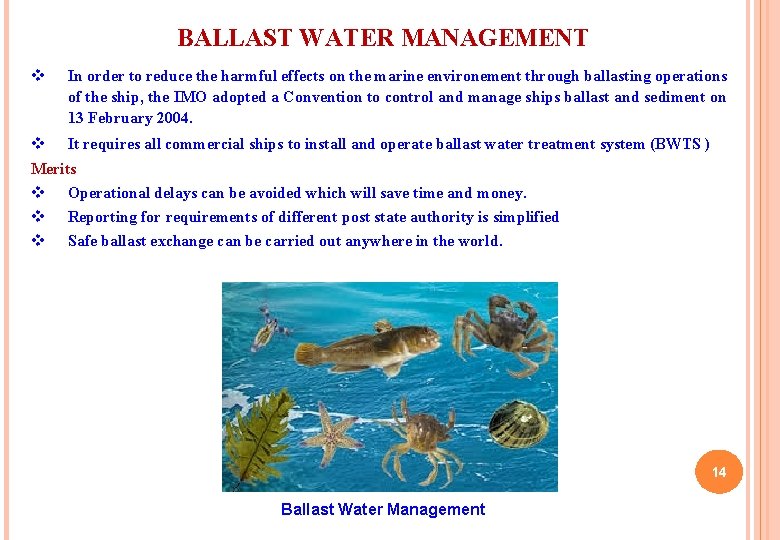 BALLAST WATER MANAGEMENT v In order to reduce the harmful effects on the marine