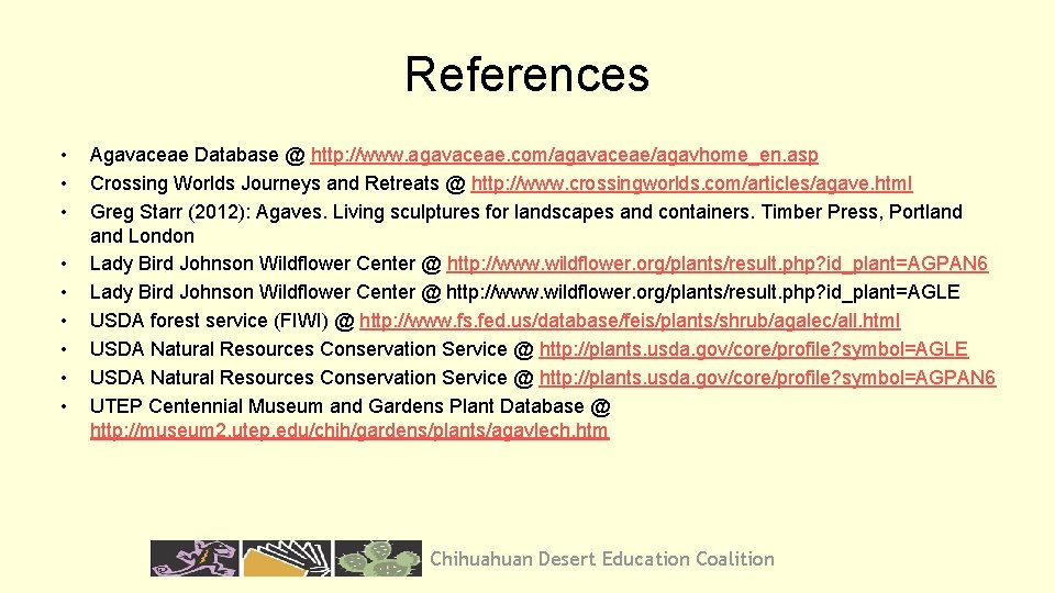 References • • • Agavaceae Database @ http: //www. agavaceae. com/agavaceae/agavhome_en. asp Crossing Worlds