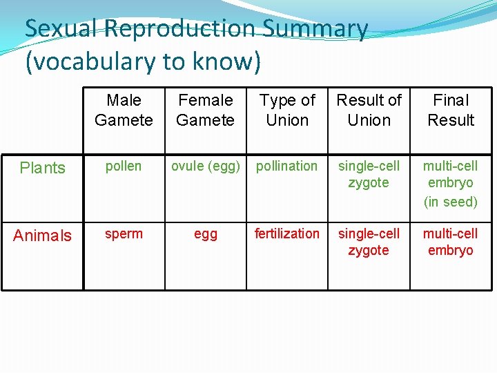 Sexual Reproduction Summary (vocabulary to know) Male Gamete Female Gamete Type of Union Result