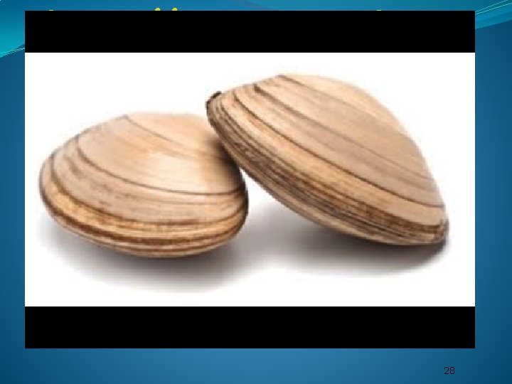 https: //www. youtube. co m/watch? v=M 0 lj. Vw. Ox. L 5 k Clam