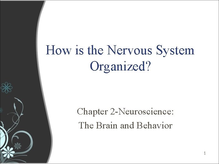 How is the Nervous System Organized? Chapter 2 -Neuroscience: The Brain and Behavior 1 How is the Nervous System Organized? Chapter 2 -Neuroscience: The Brain and Behavior 1