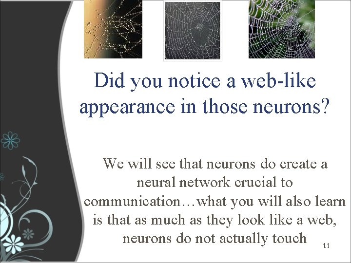 Did you notice a web-like appearance in those neurons? We will see that neurons Did you notice a web-like appearance in those neurons? We will see that neurons