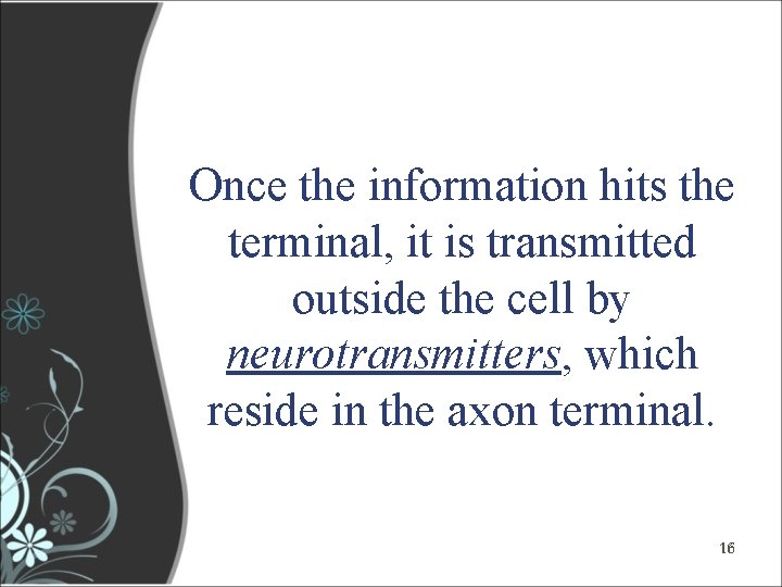 Once the information hits the terminal, it is transmitted outside the cell by neurotransmitters, Once the information hits the terminal, it is transmitted outside the cell by neurotransmitters,