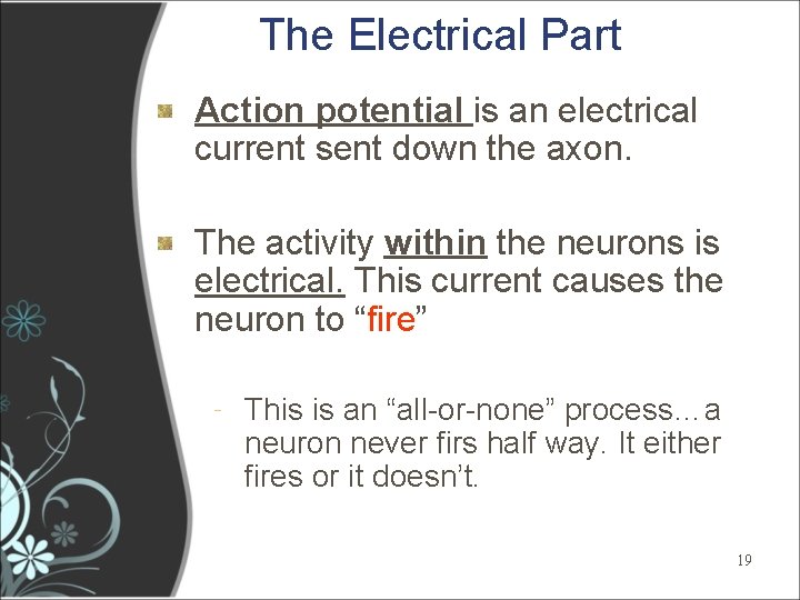 The Electrical Part Action potential is an electrical current sent down the axon. The The Electrical Part Action potential is an electrical current sent down the axon. The