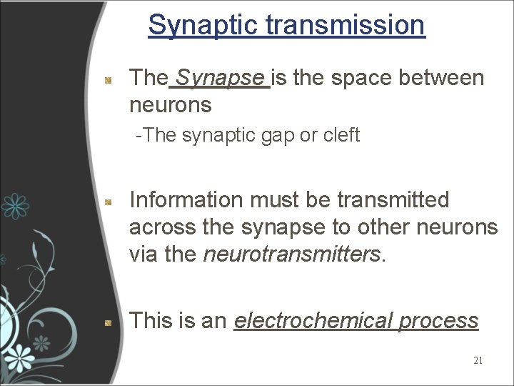 Synaptic transmission The Synapse is the space between neurons -The synaptic gap or cleft Synaptic transmission The Synapse is the space between neurons -The synaptic gap or cleft