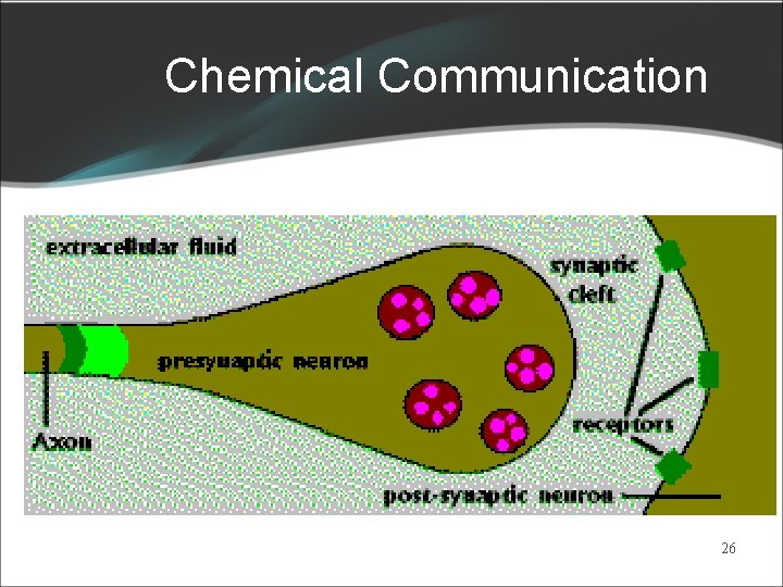 Chemical Communication 26 Chemical Communication 26