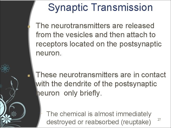 Synaptic Transmission The neurotransmitters are released from the vesicles and then attach to receptors Synaptic Transmission The neurotransmitters are released from the vesicles and then attach to receptors