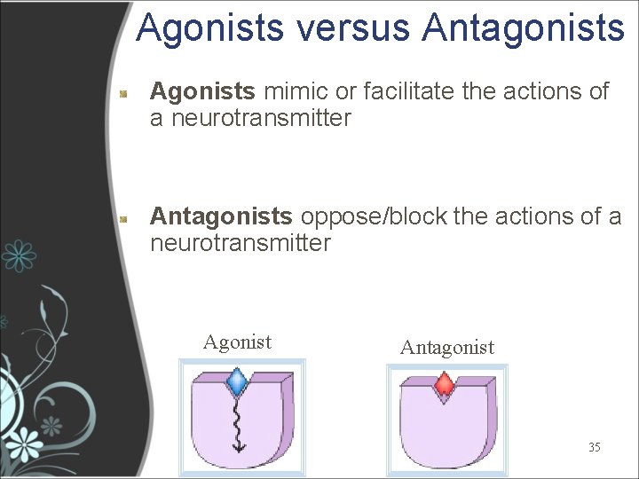 Agonists versus Antagonists Agonists mimic or facilitate the actions of a neurotransmitter Antagonists oppose/block Agonists versus Antagonists Agonists mimic or facilitate the actions of a neurotransmitter Antagonists oppose/block