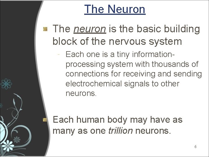 The Neuron The neuron is the basic building block of the nervous system ‐ The Neuron The neuron is the basic building block of the nervous system ‐