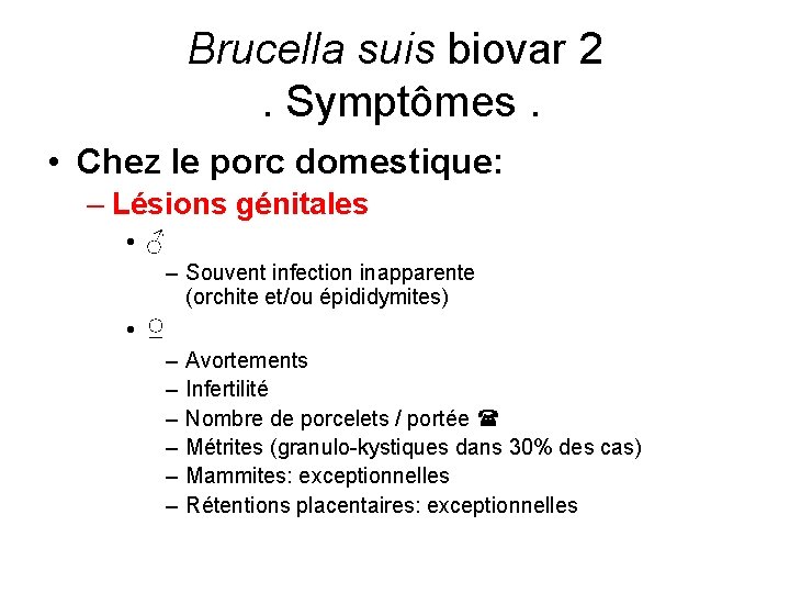 Brucella suis biovar 2. Symptômes. • Chez le porc domestique: – Lésions génitales •