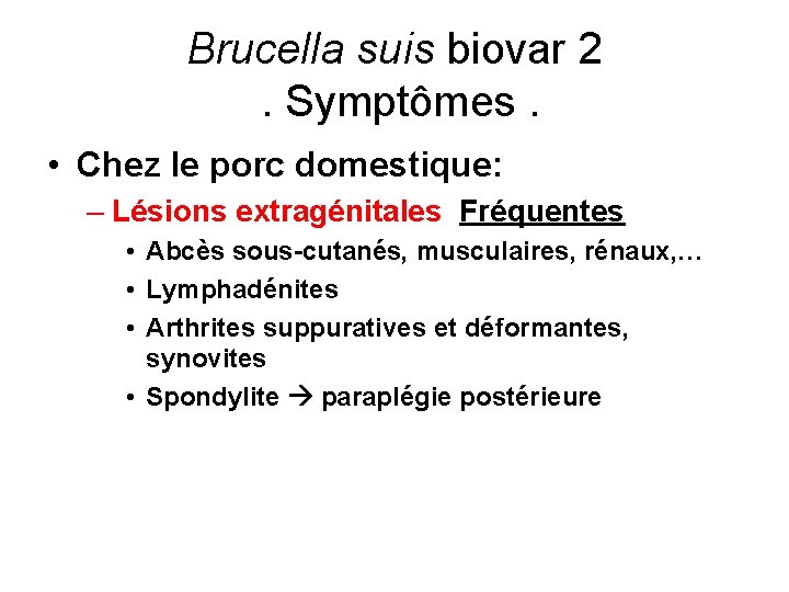 Brucella suis biovar 2. Symptômes. • Chez le porc domestique: – Lésions extragénitales Fréquentes