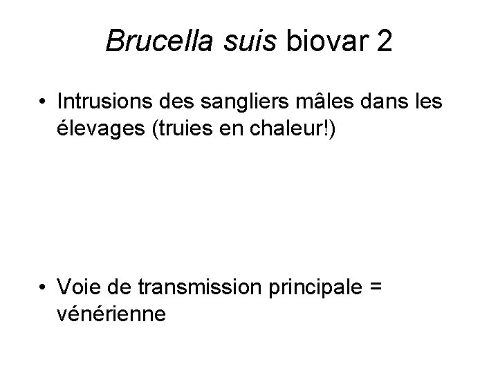 Brucella suis biovar 2 • Intrusions des sangliers mâles dans les élevages (truies en