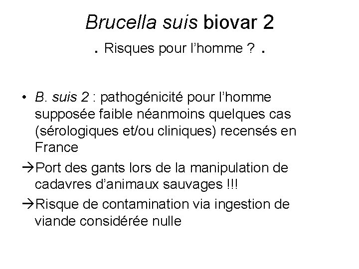 Brucella suis biovar 2. Risques pour l’homme ? . • B. suis 2 :