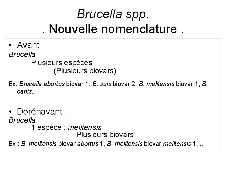 Brucella spp. . Nouvelle nomenclature. • Avant : Brucella Plusieurs espèces (Plusieurs biovars) Ex: