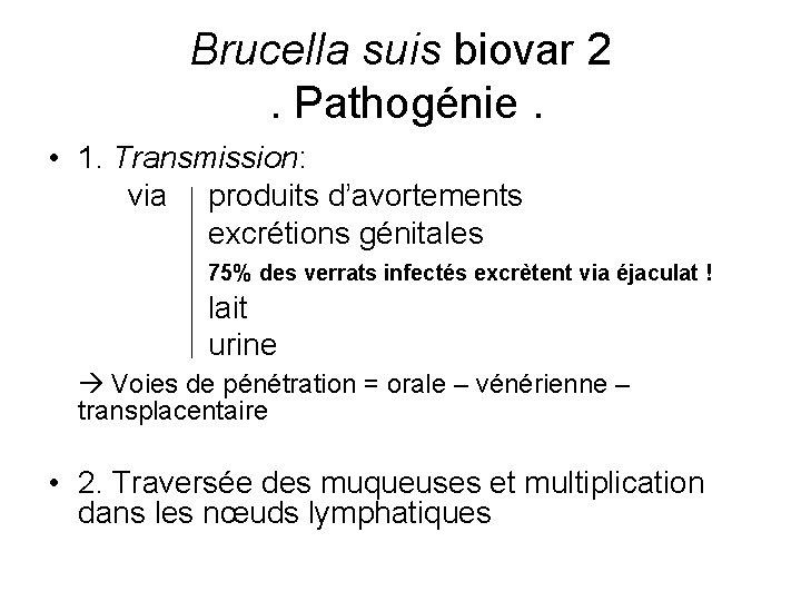 Brucella suis biovar 2. Pathogénie. • 1. Transmission: via produits d’avortements excrétions génitales 75%