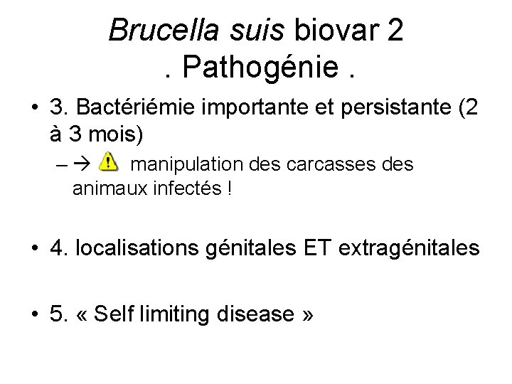 Brucella suis biovar 2. Pathogénie. • 3. Bactériémie importante et persistante (2 à 3