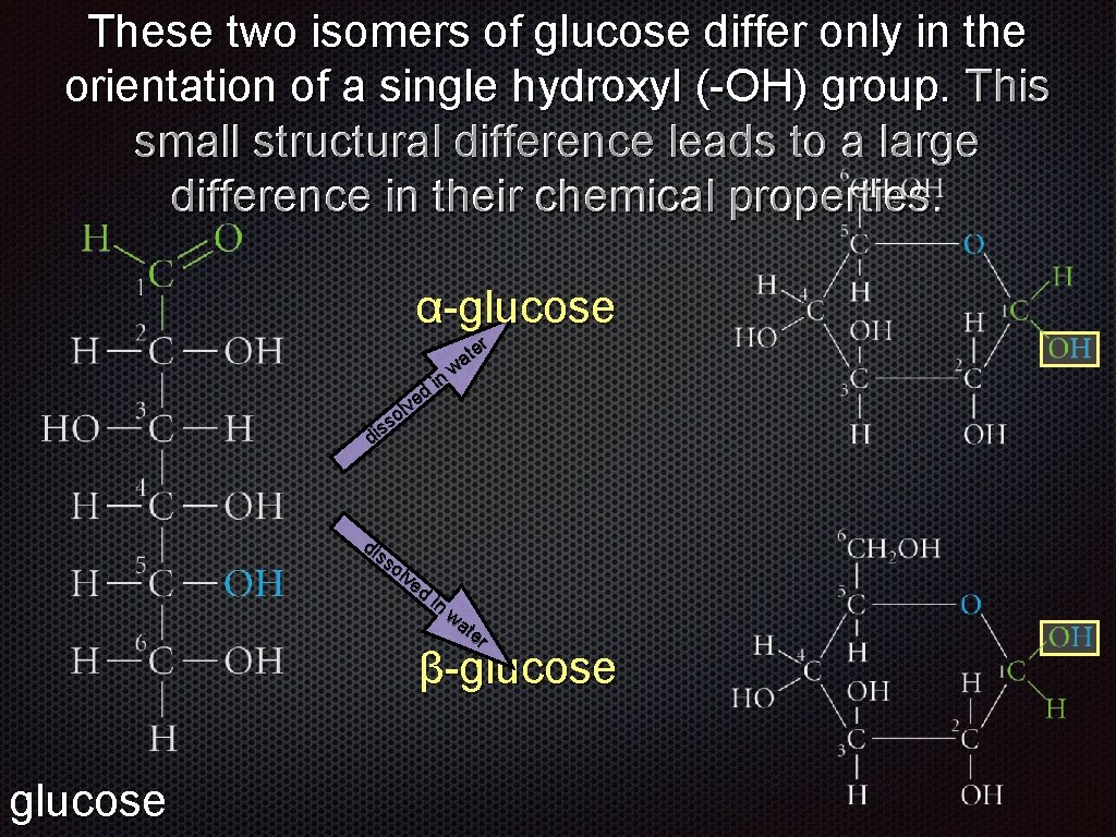 These two isomers of glucose differ only in the orientation of a single hydroxyl