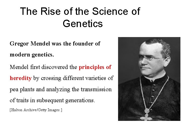 The Rise of the Science of Genetics Gregor Mendel was the founder of modern
