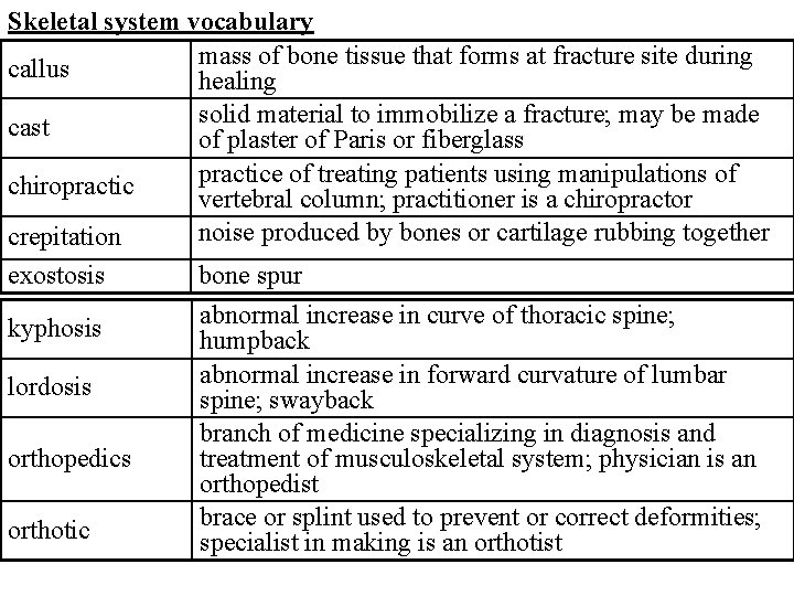 Skeletal system vocabulary mass of bone tissue that forms at fracture site during callus