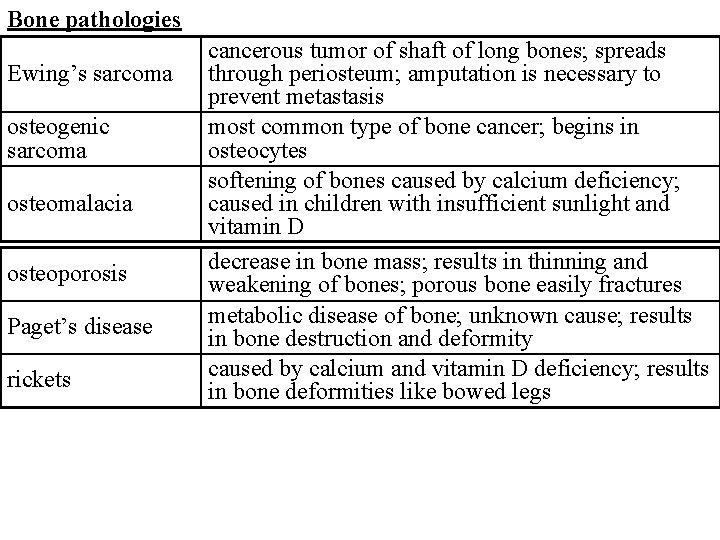 Bone pathologies Ewing’s sarcoma osteogenic sarcoma osteomalacia osteoporosis Paget’s disease rickets cancerous tumor of