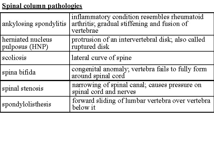 Spinal column pathologies inflammatory condition resembles rheumatoid ankylosing spondylitis arthritis; gradual stiffening and fusion