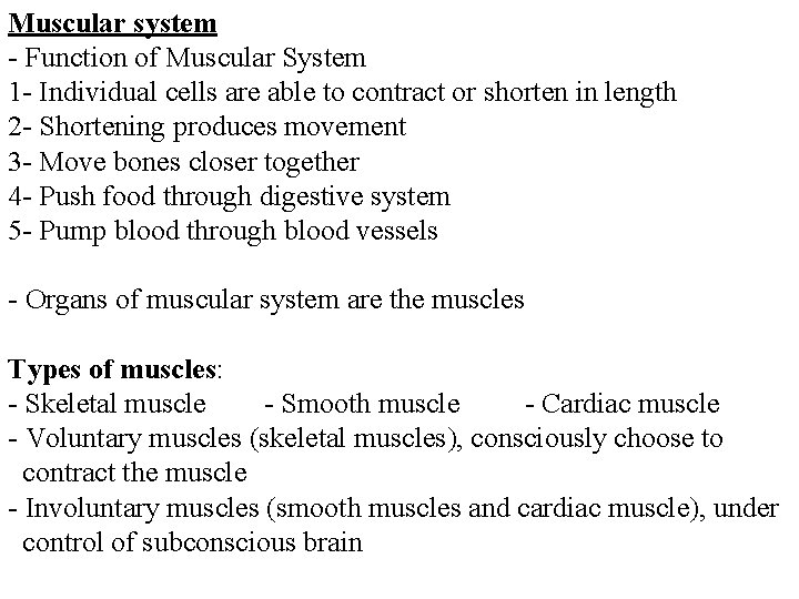 Muscular system - Function of Muscular System 1 - Individual cells are able to