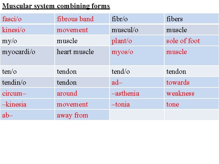 Muscular system combining forms fasci/o fibrous band fibr/o fibers kinesi/o myocardi/o movement muscle heart