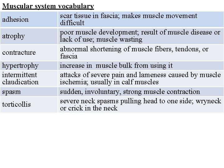 Muscular system vocabulary scar tissue in fascia; makes muscle movement adhesion difficult poor muscle