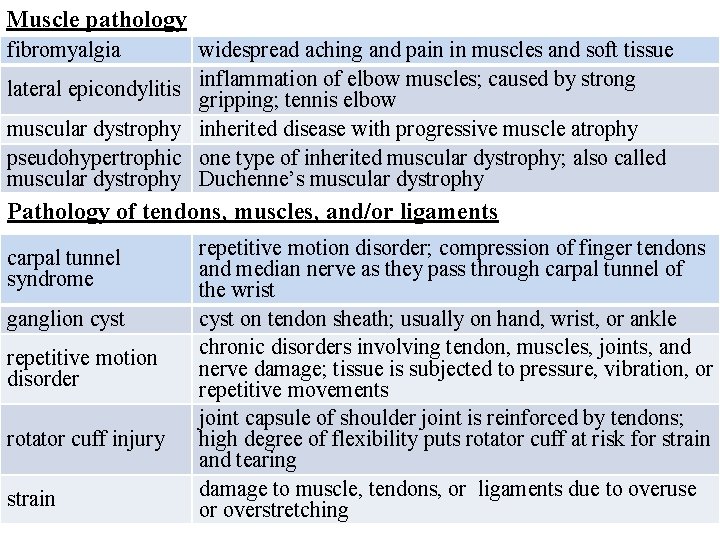 Muscle pathology fibromyalgia lateral epicondylitis muscular dystrophy pseudohypertrophic muscular dystrophy widespread aching and pain