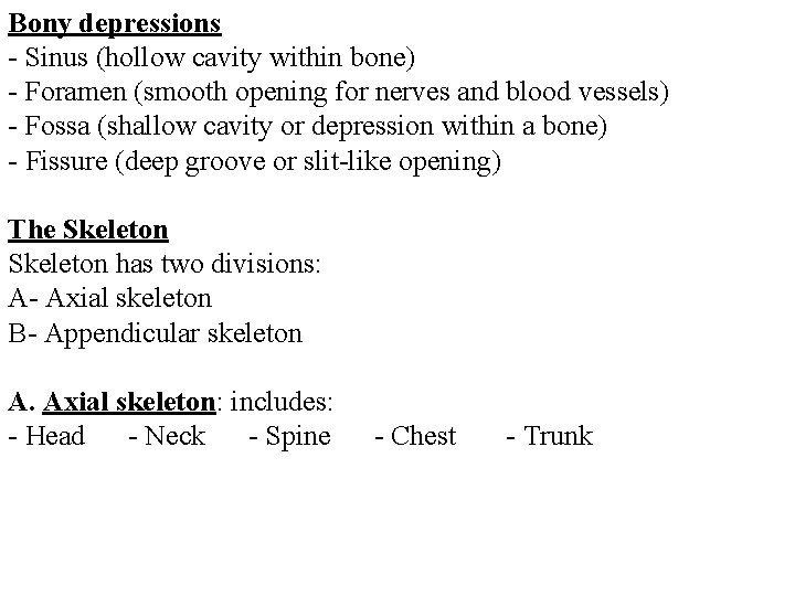 Bony depressions - Sinus (hollow cavity within bone) - Foramen (smooth opening for nerves