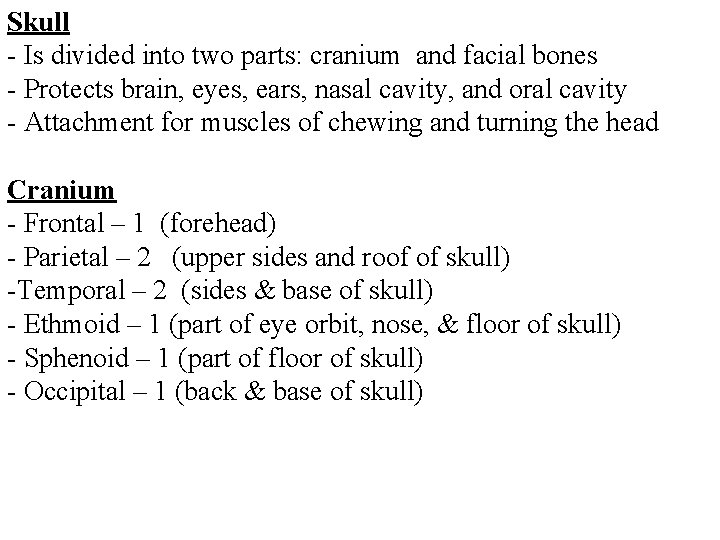 Skull - Is divided into two parts: cranium and facial bones - Protects brain,