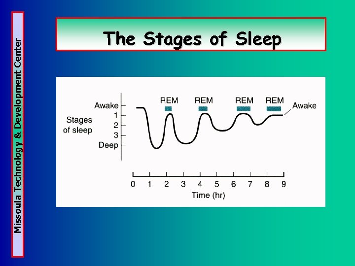Missoula Technology & Development Center The Stages of Sleep 