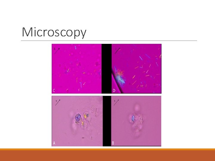 Microscopy 