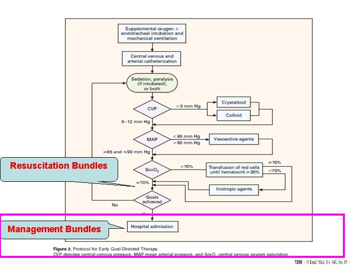 Resuscitation Bundles Management Bundles 