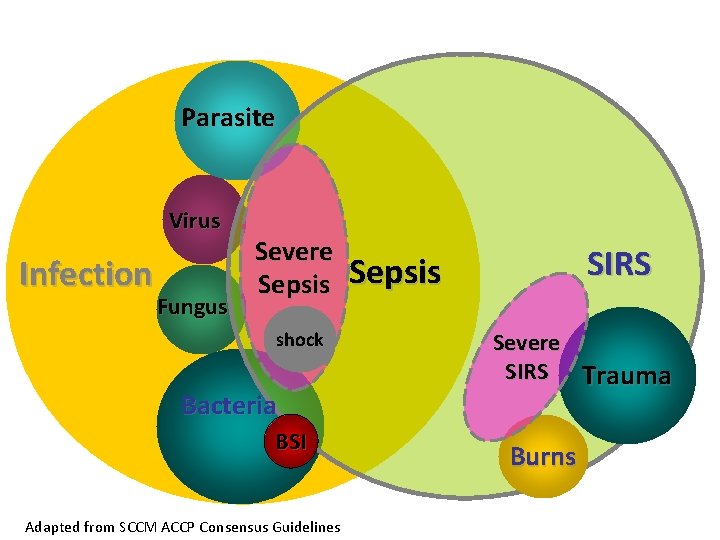 Parasite Virus Infection Fungus Severe Sepsis shock Bacteria BSI Adapted from SCCM ACCP Consensus