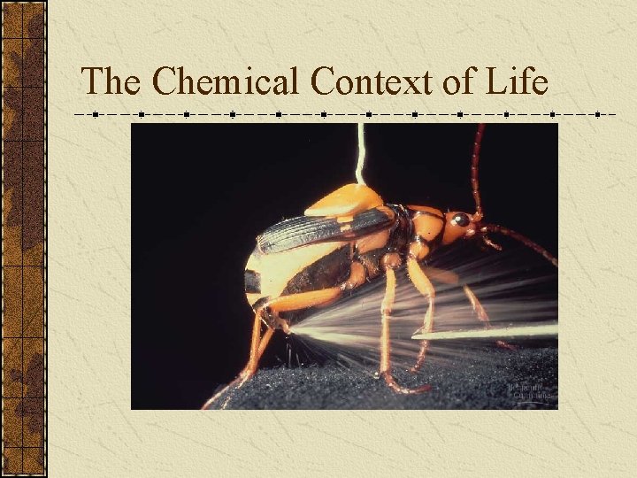 The Chemical Context of Life 