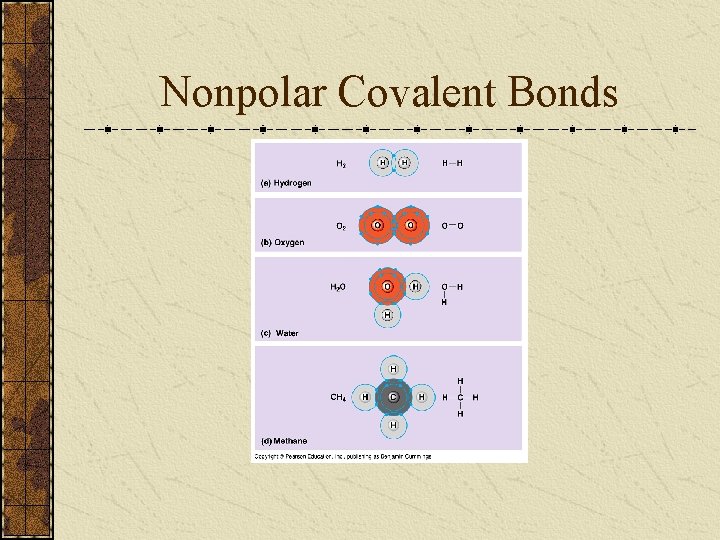 Nonpolar Covalent Bonds 