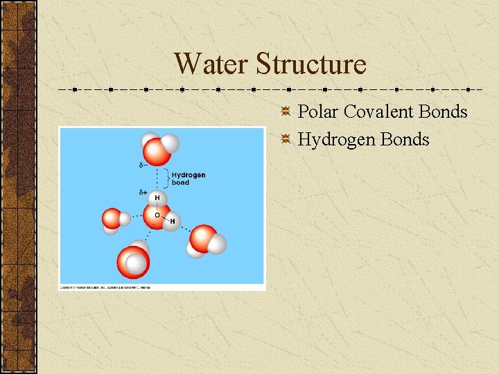 Water Structure Polar Covalent Bonds Hydrogen Bonds 