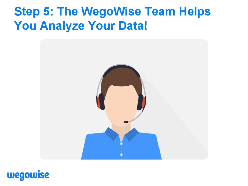 Step 5: The Wego. Wise Team Helps You Analyze Your Data! 