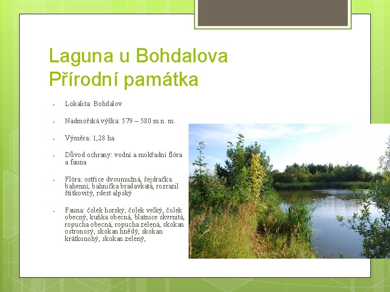 Laguna u Bohdalova Přírodní památka ● Lokalita: Bohdalov ● Nadmořská výška: 579 – 580