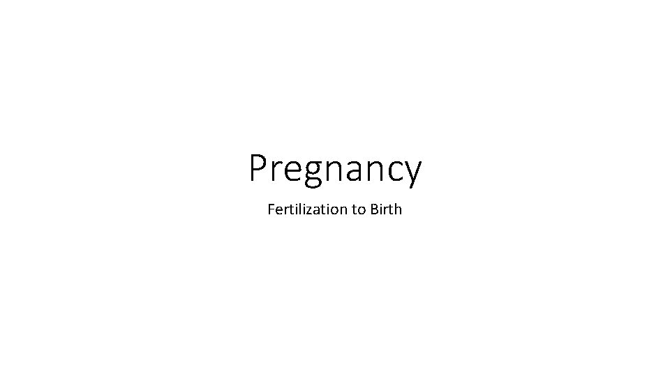 Pregnancy Fertilization to Birth 