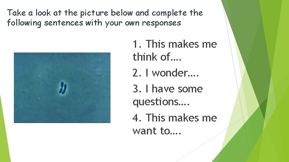 Take a look at the picture below and complete the following sentences with your