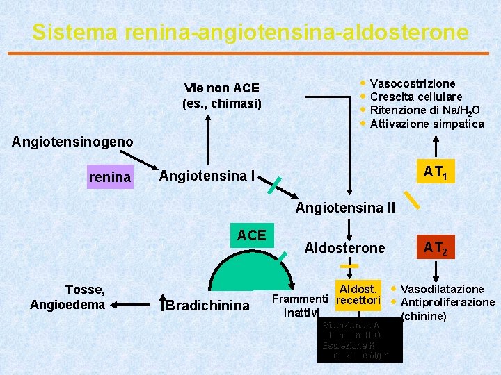 Sistema renina-angiotensina-aldosterone Vie non ACE (es. , chimasi) · Vasocostrizione · Crescita cellulare ·