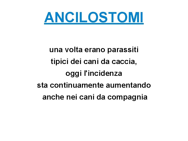 ANCILOSTOMI una volta erano parassiti tipici dei cani da caccia, oggi l'incidenza sta continuamente