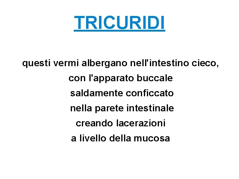 TRICURIDI questi vermi albergano nell'intestino cieco, con l'apparato buccale saldamente conficcato nella parete intestinale