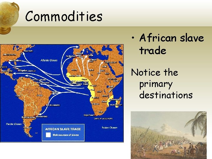 Commodities • African slave trade Notice the primary destinations 